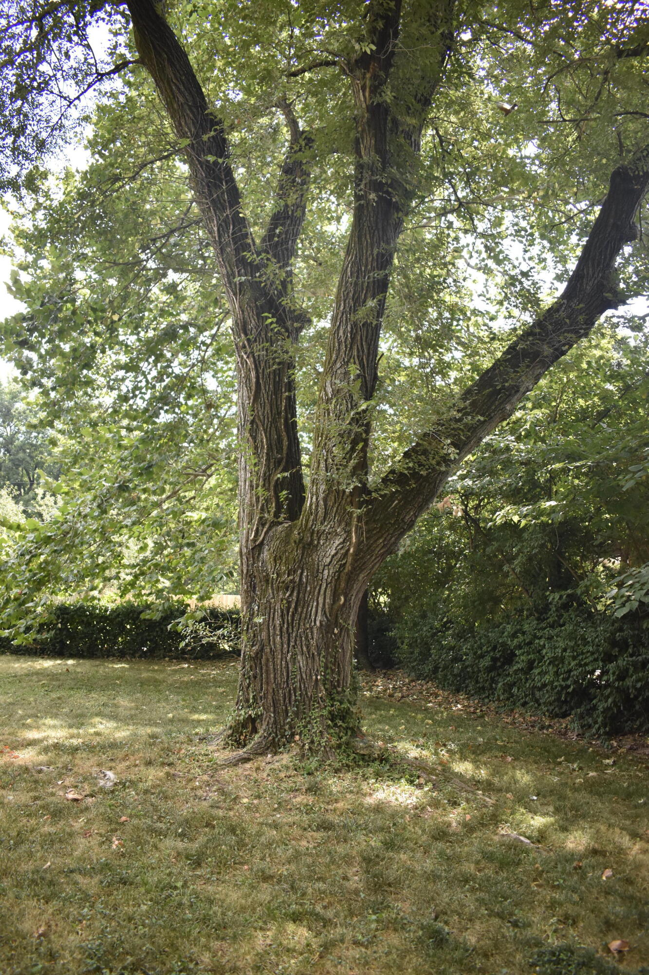 3070 E Beaumont Street