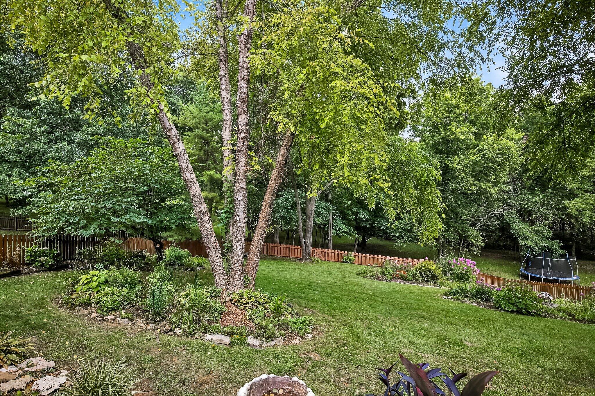 847 Brook Forest