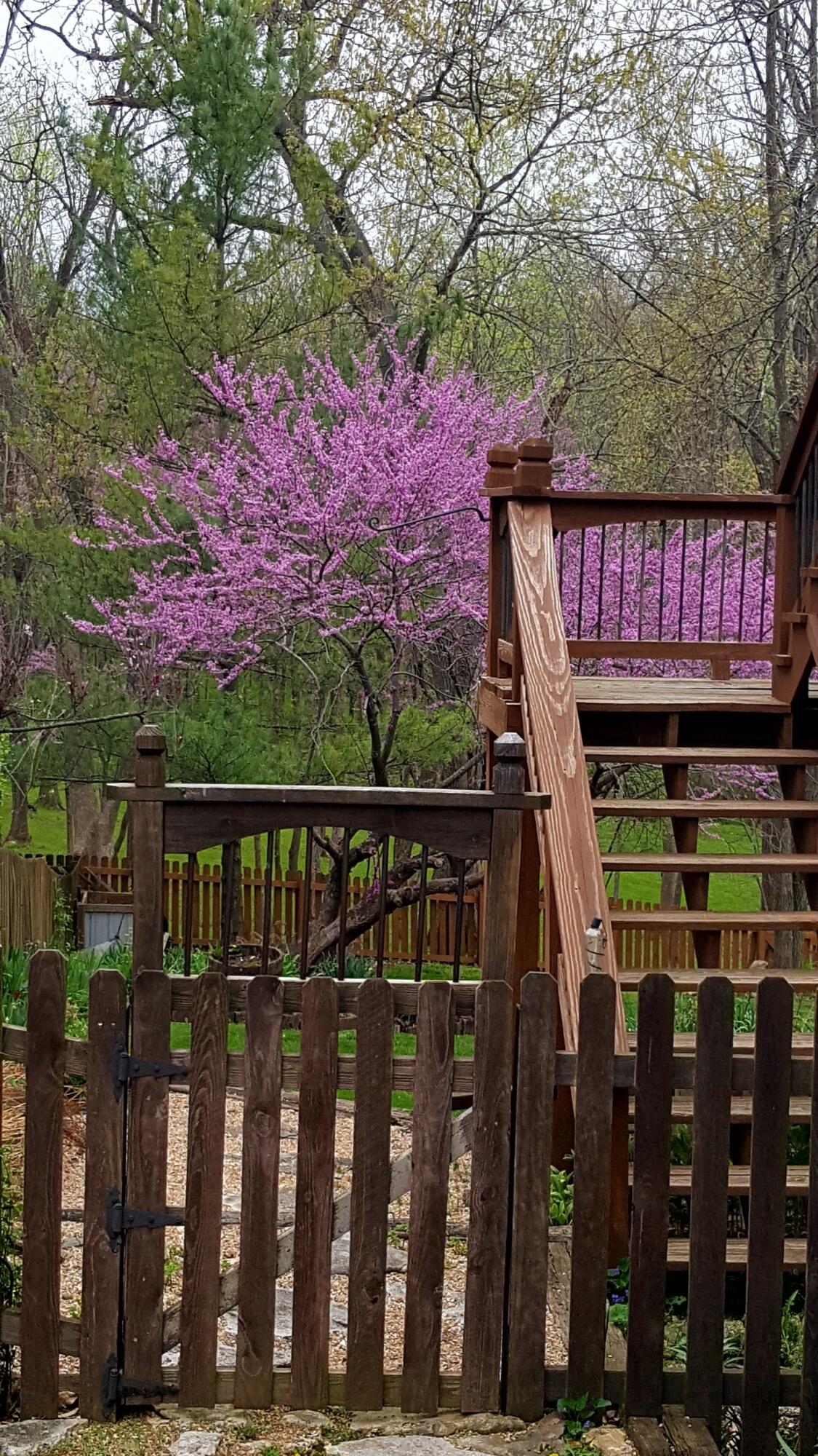 847 Brook Forest