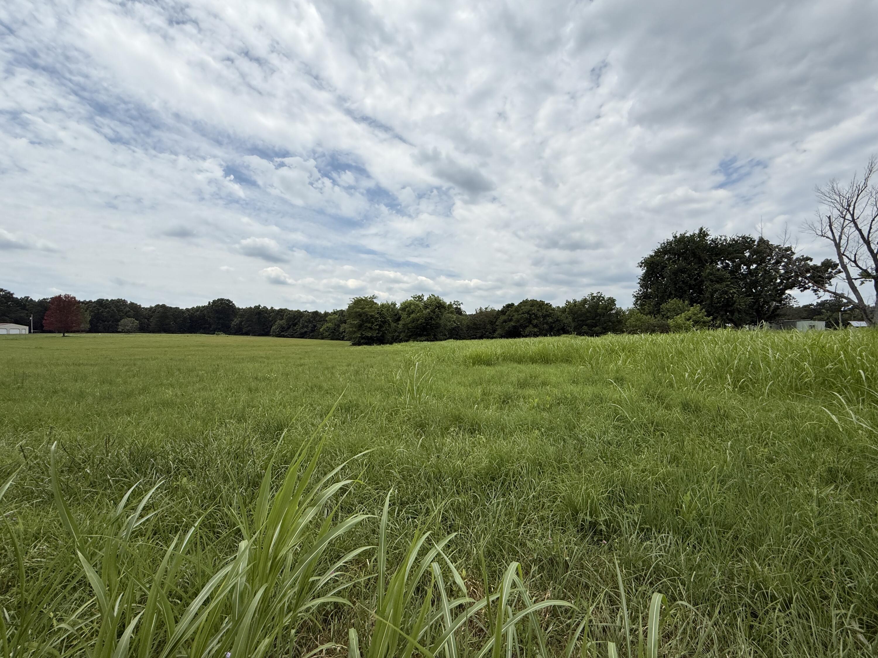 110 Thomasville Road