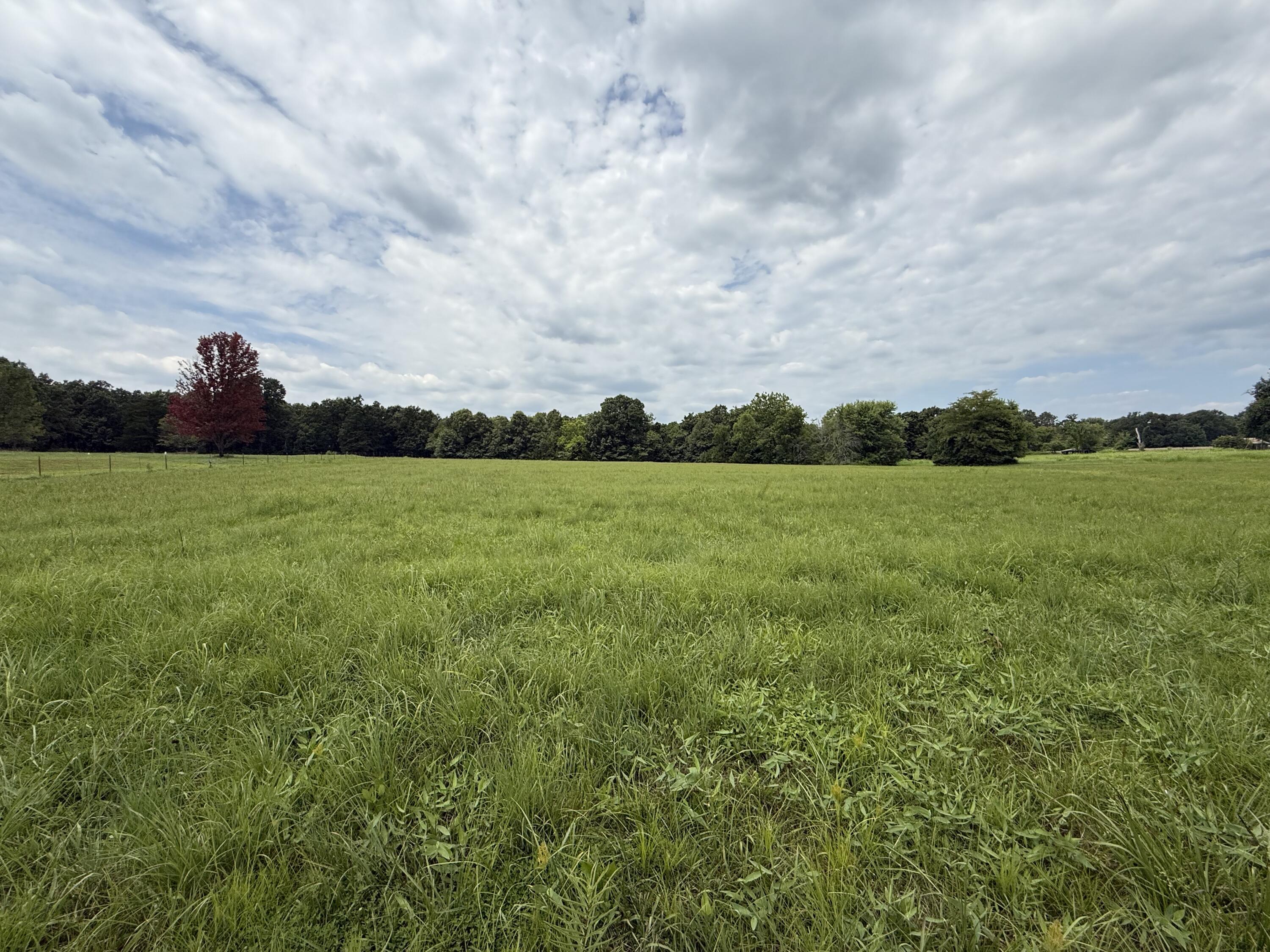 110 Thomasville Road