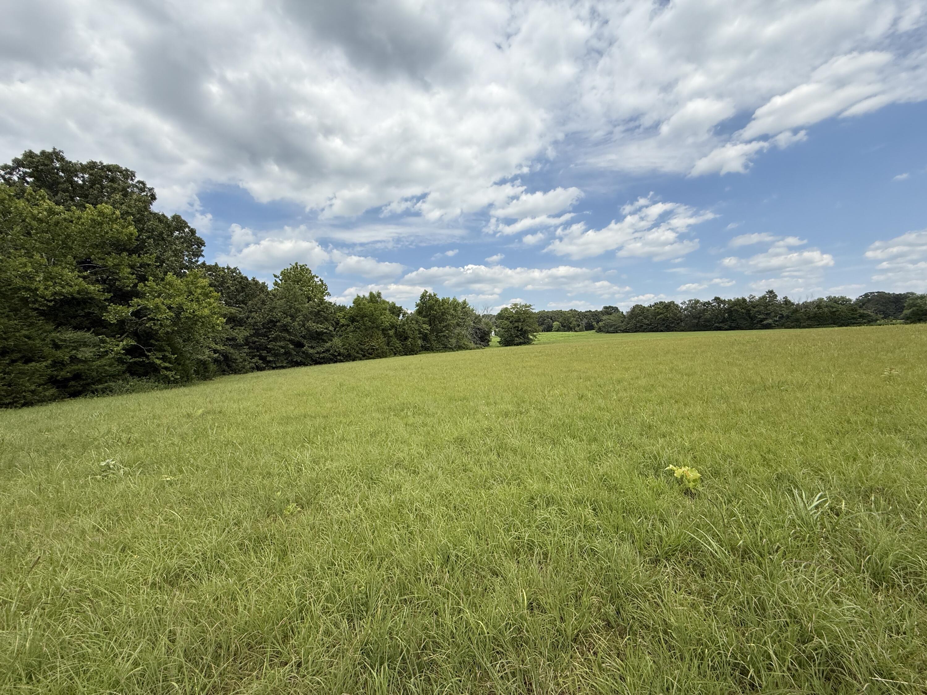 110 Thomasville Road