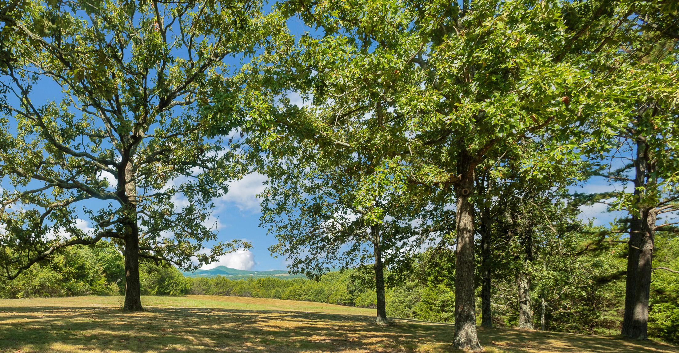 779 Quiet Acres Road