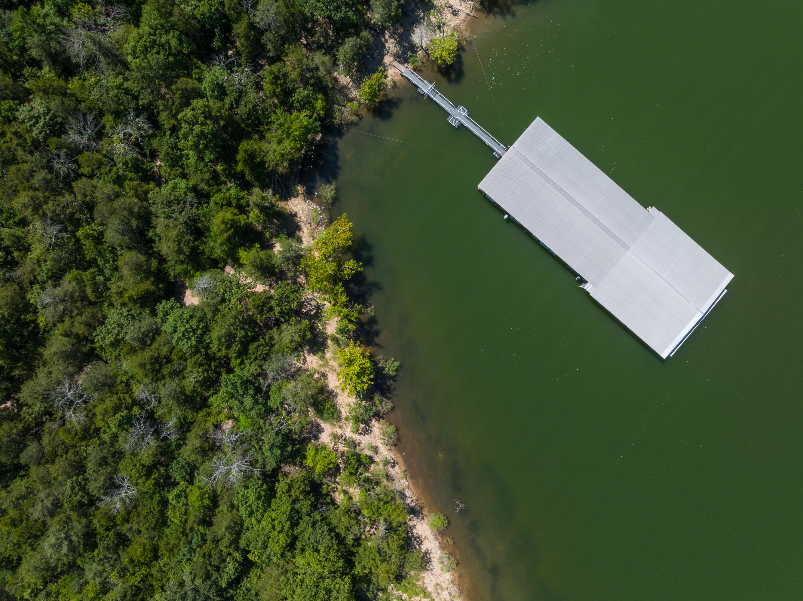 40 Kimberling Lane Unit: 1