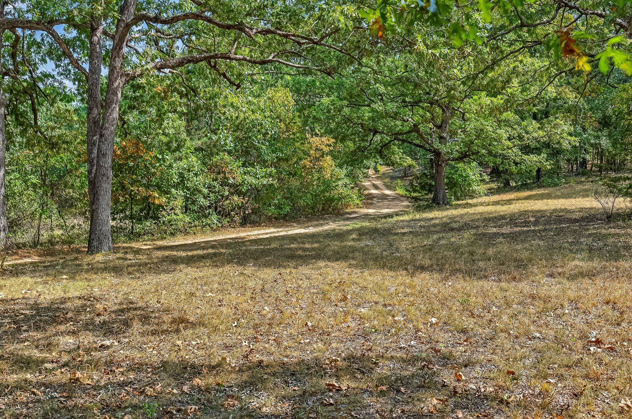 537 Dark Valley Road