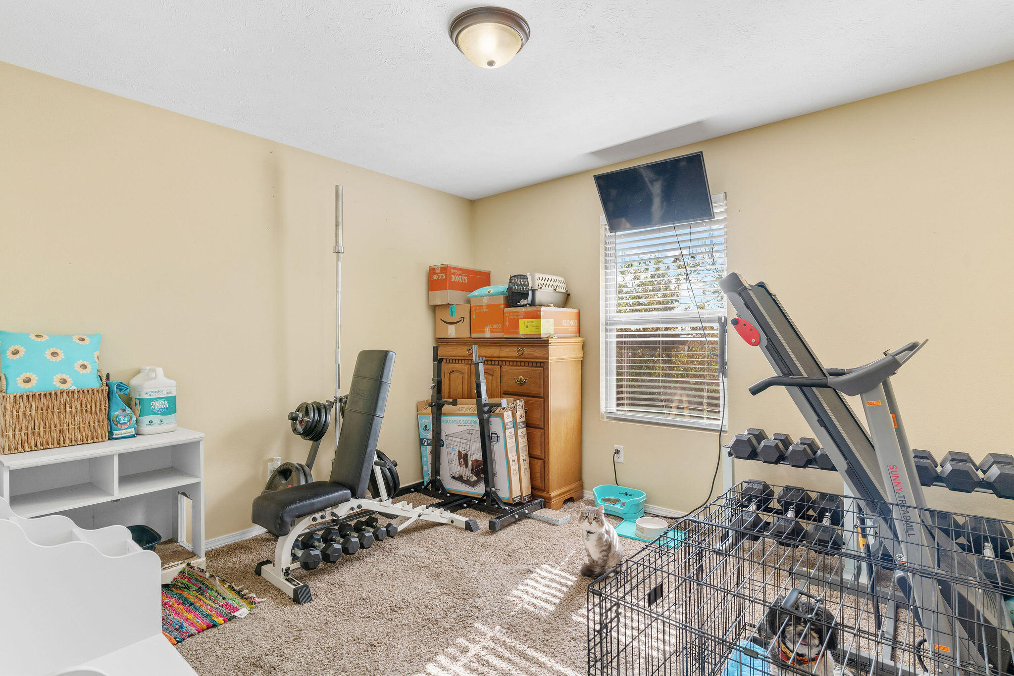 304 W Picardy Street