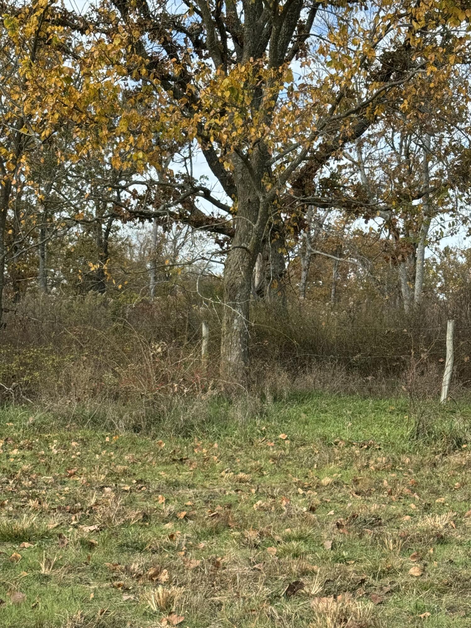 000 State Highway Vv Tract 5d