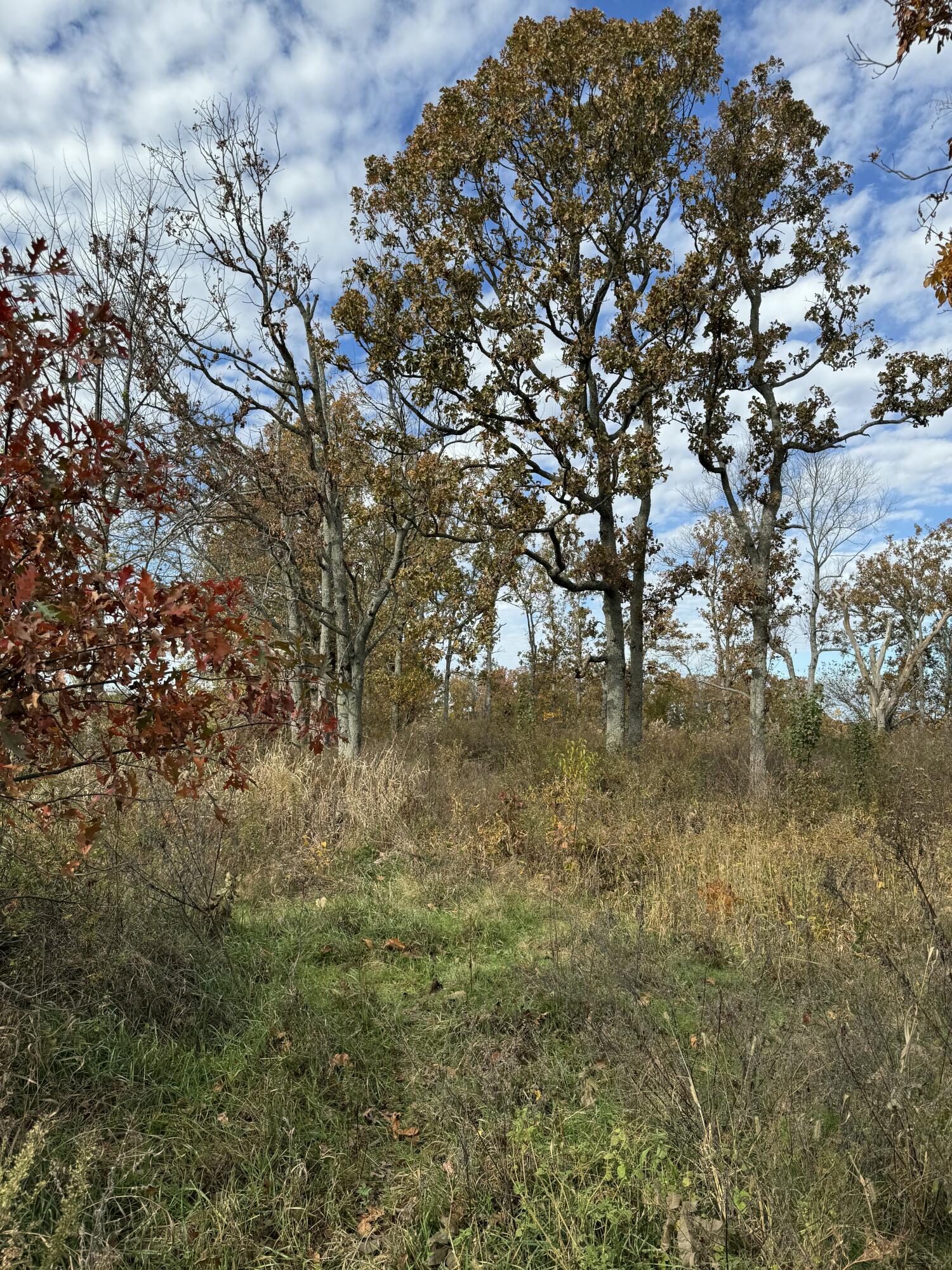 000 State Highway Vv Tract 5d