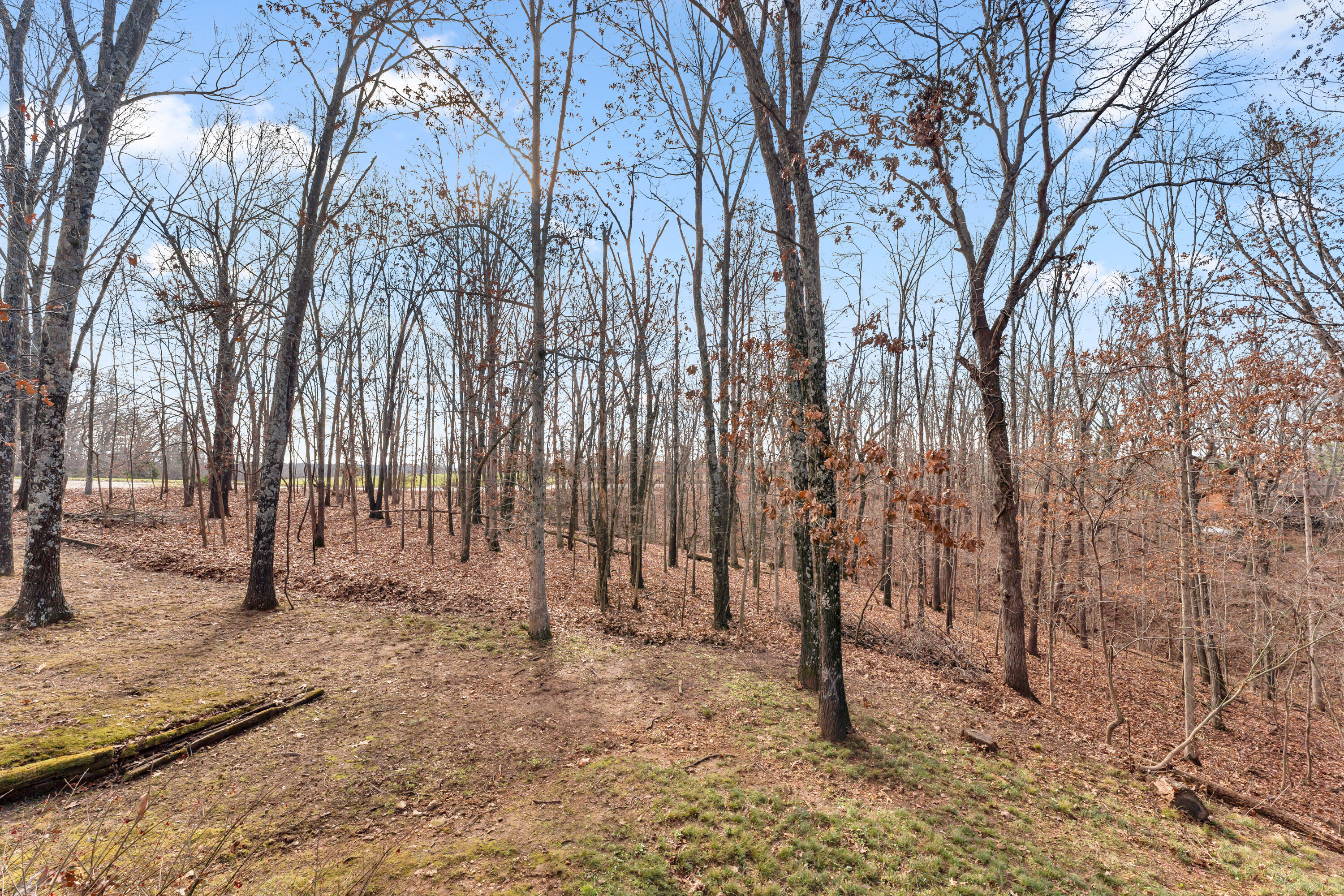 1541 S Wild Oaks Drive