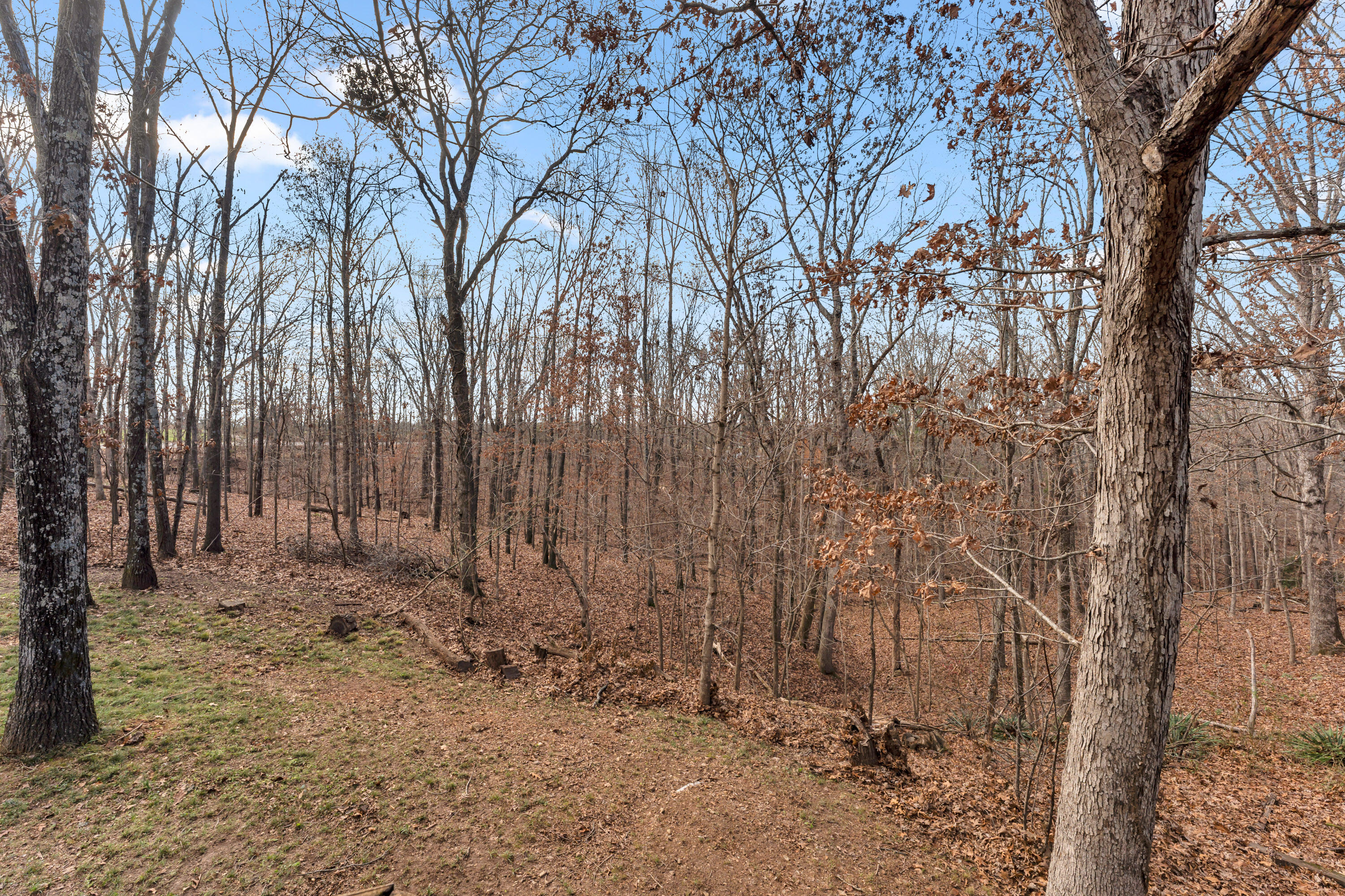 1541 S Wild Oaks Drive