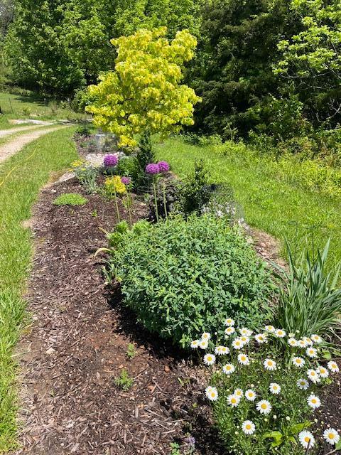 1373 Plank School Road