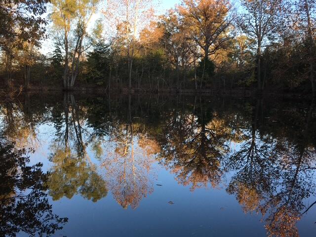 1373 Plank School Road