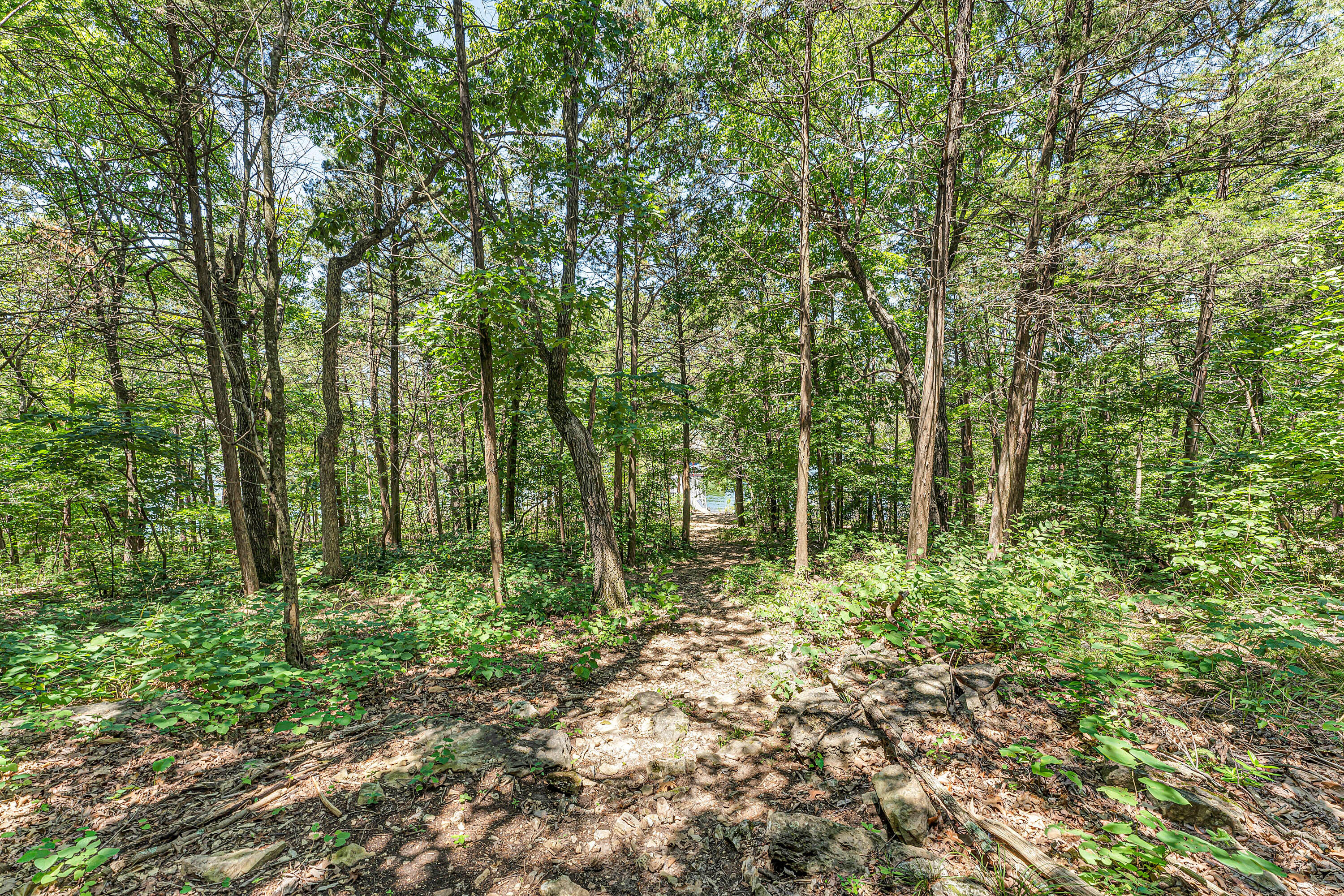 40 Kimberling Lane Unit: 1