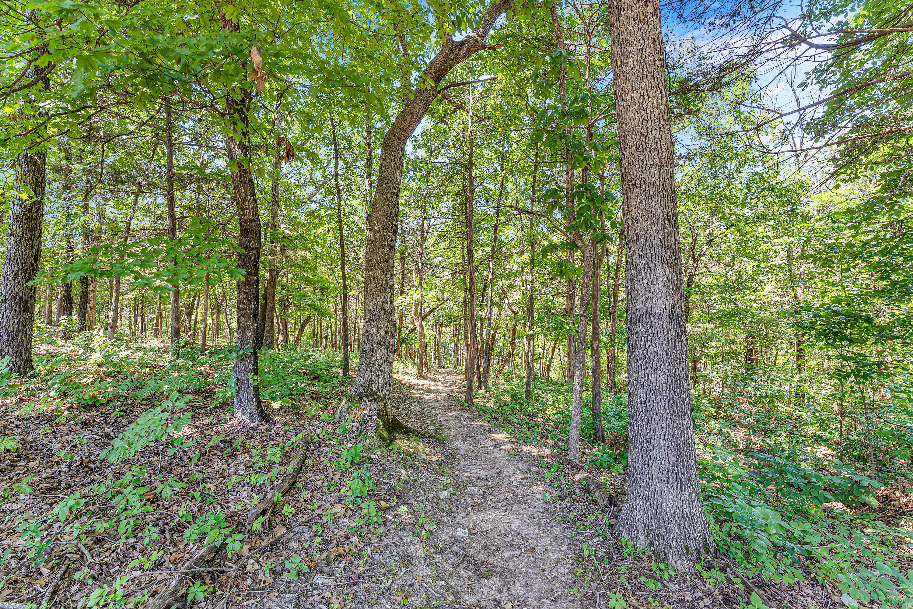 40 Kimberling Lane Unit: 1