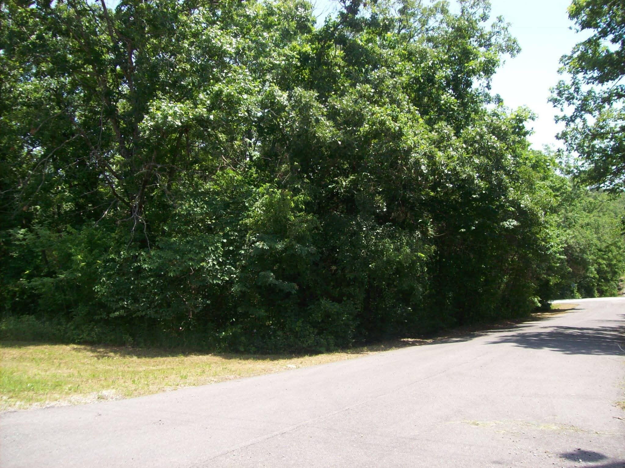 130, 131 Turkey Mountain Estates #2