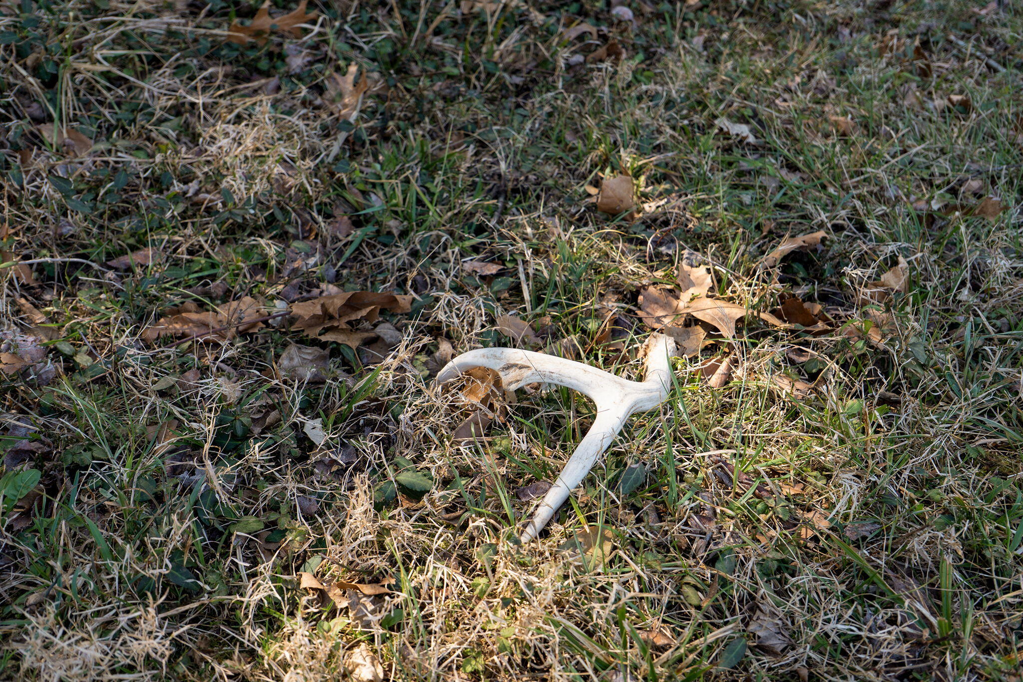 4037 S State Highway J