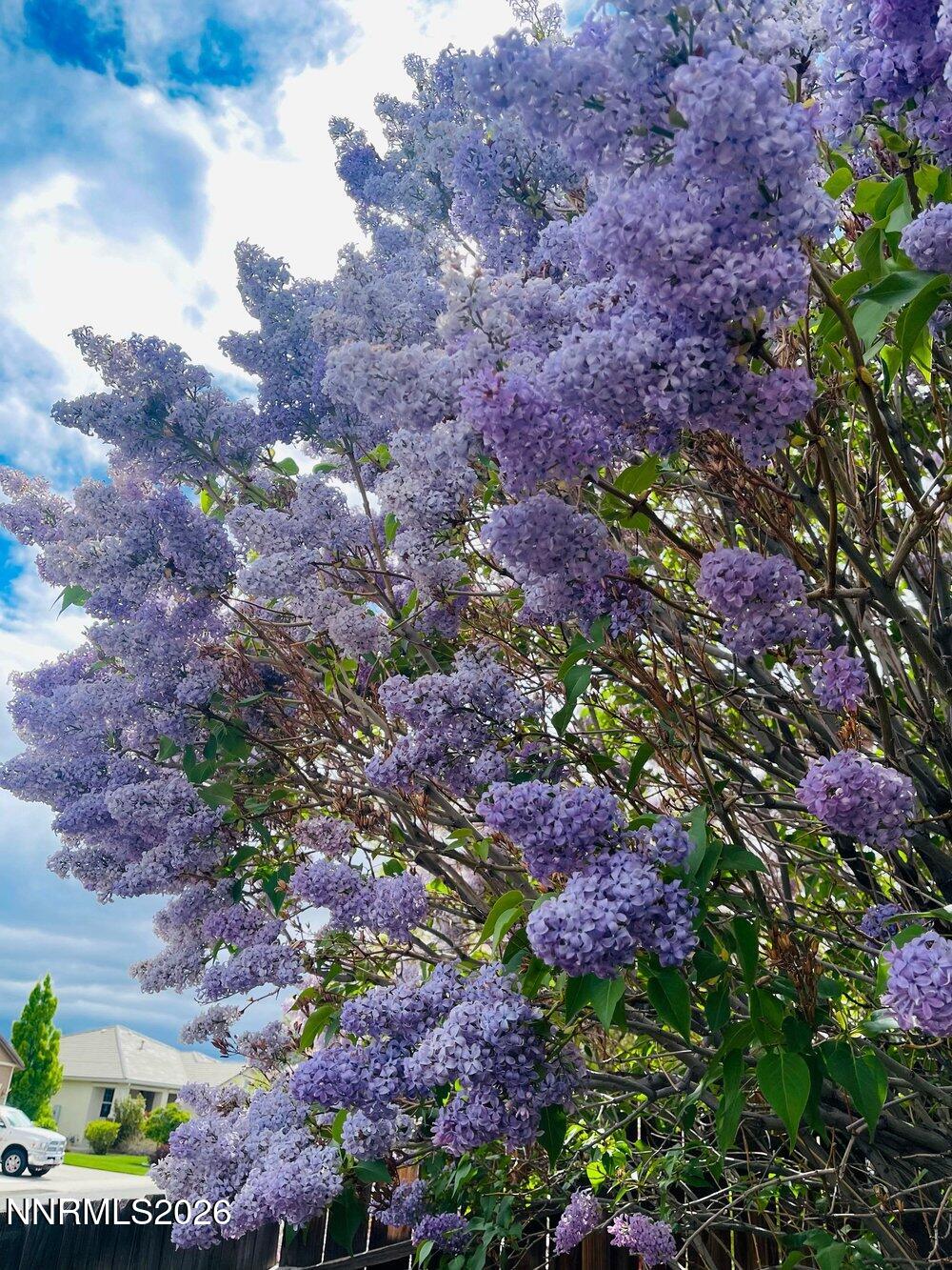 4301 Pinnacle Vista Court