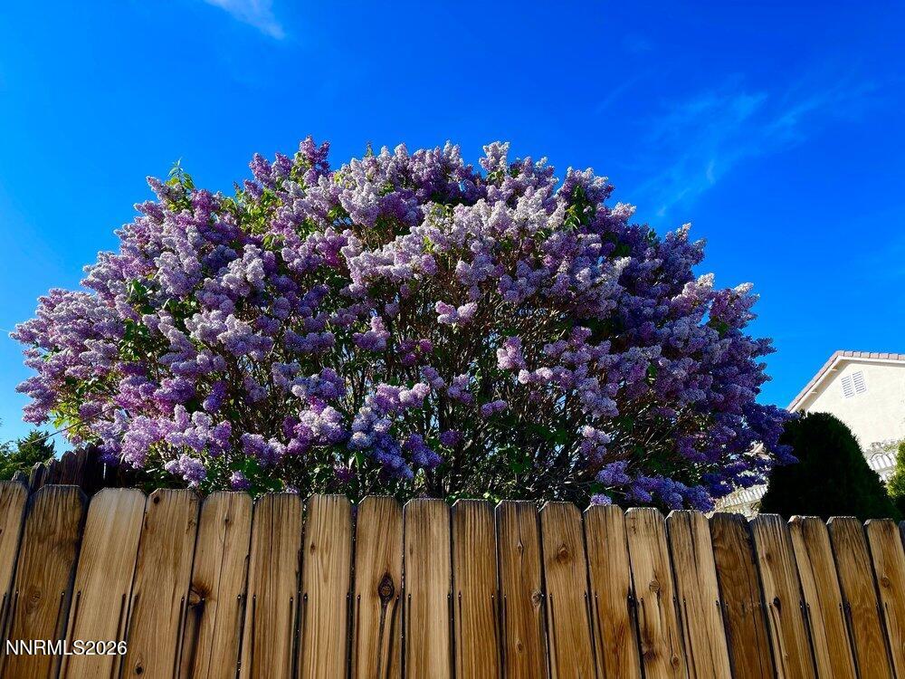 4301 Pinnacle Vista Court