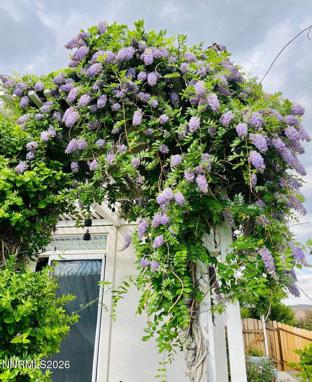 4301 Pinnacle Vista Court