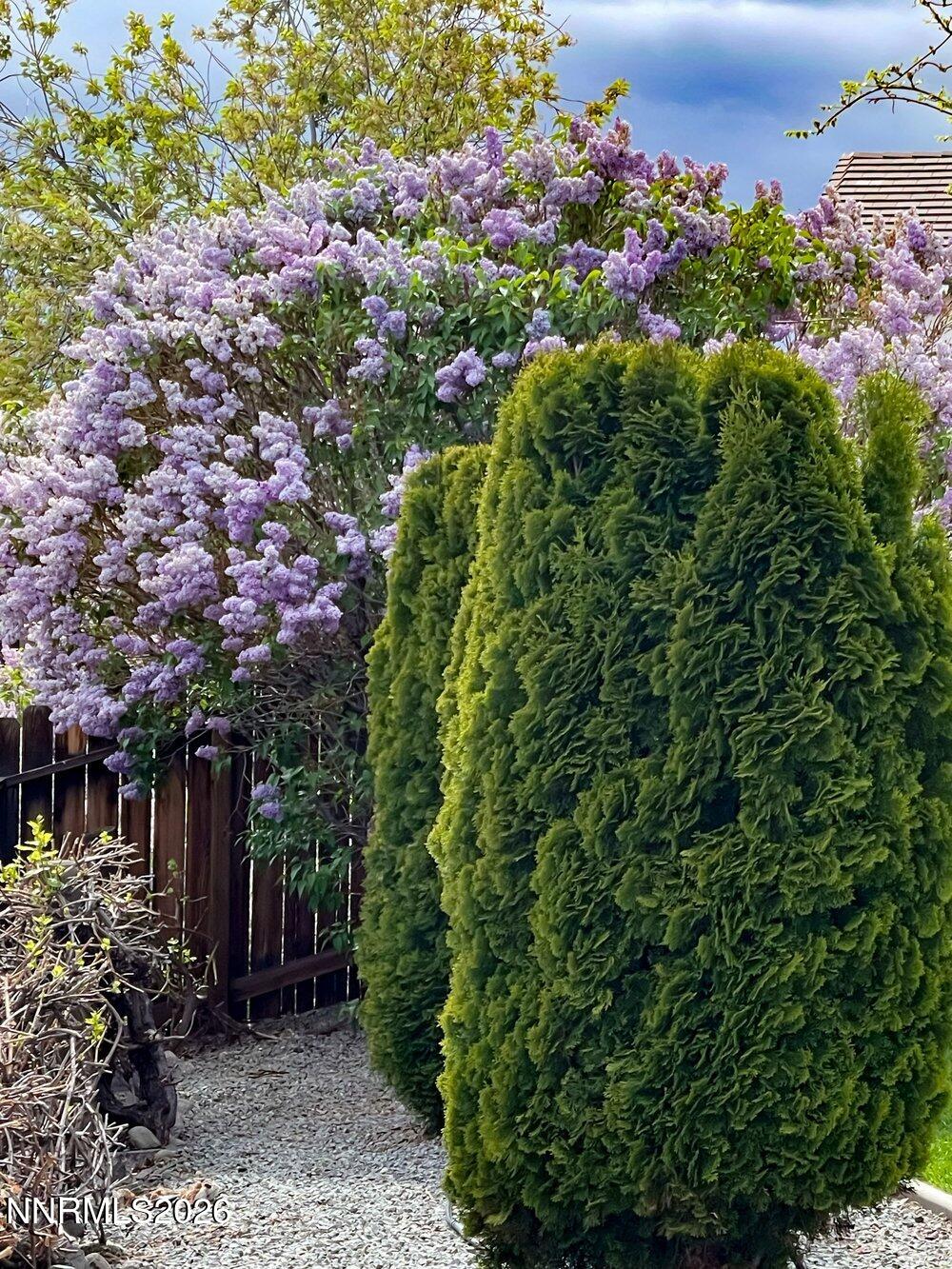 4301 Pinnacle Vista Court