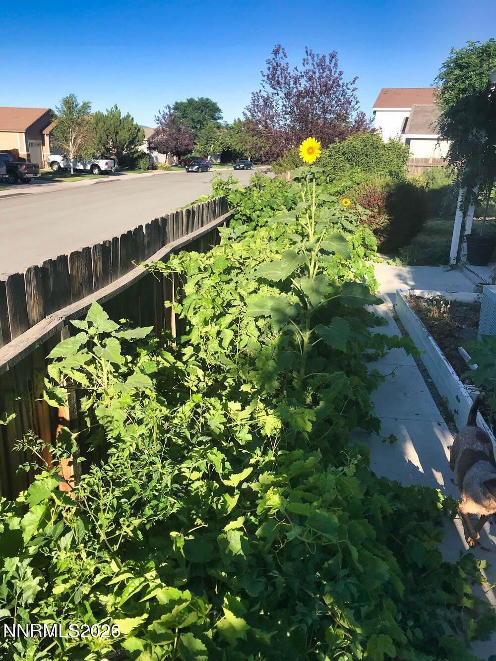 4301 Pinnacle Vista Court