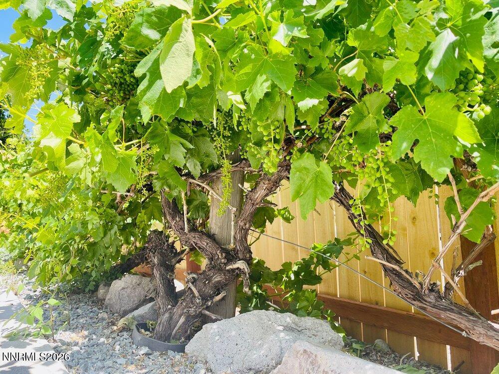 4301 Pinnacle Vista Court