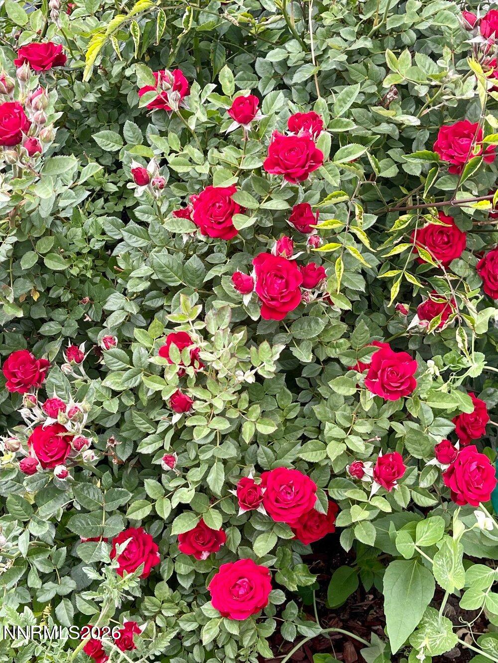 4301 Pinnacle Vista Court