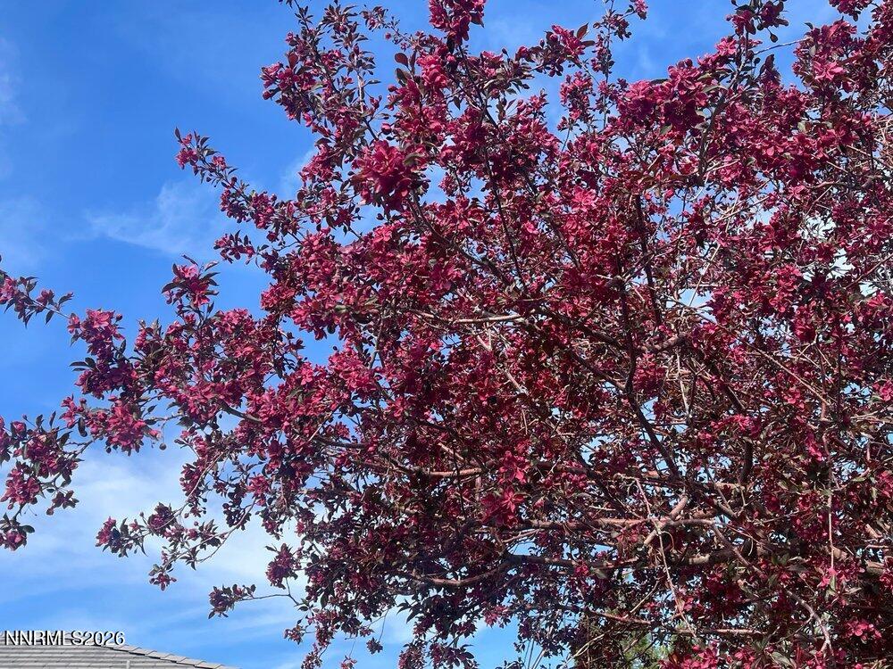 4301 Pinnacle Vista Court