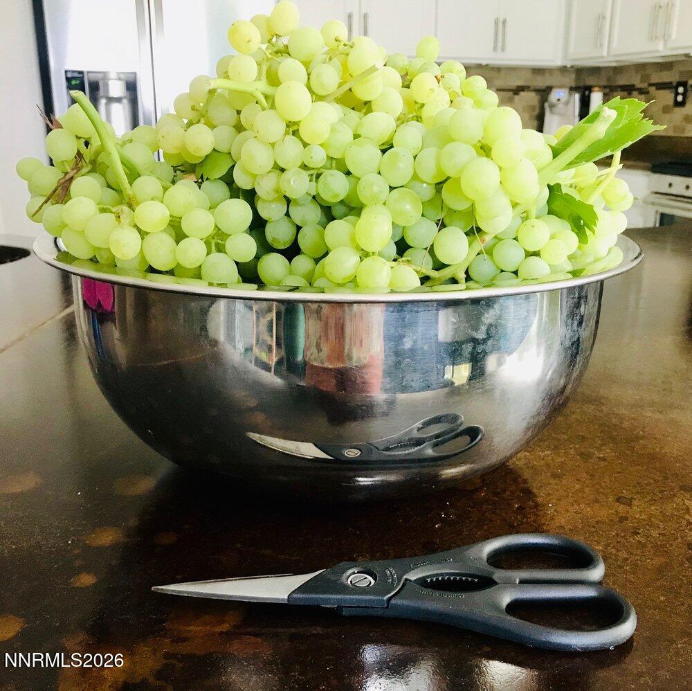 4301 Pinnacle Vista Court