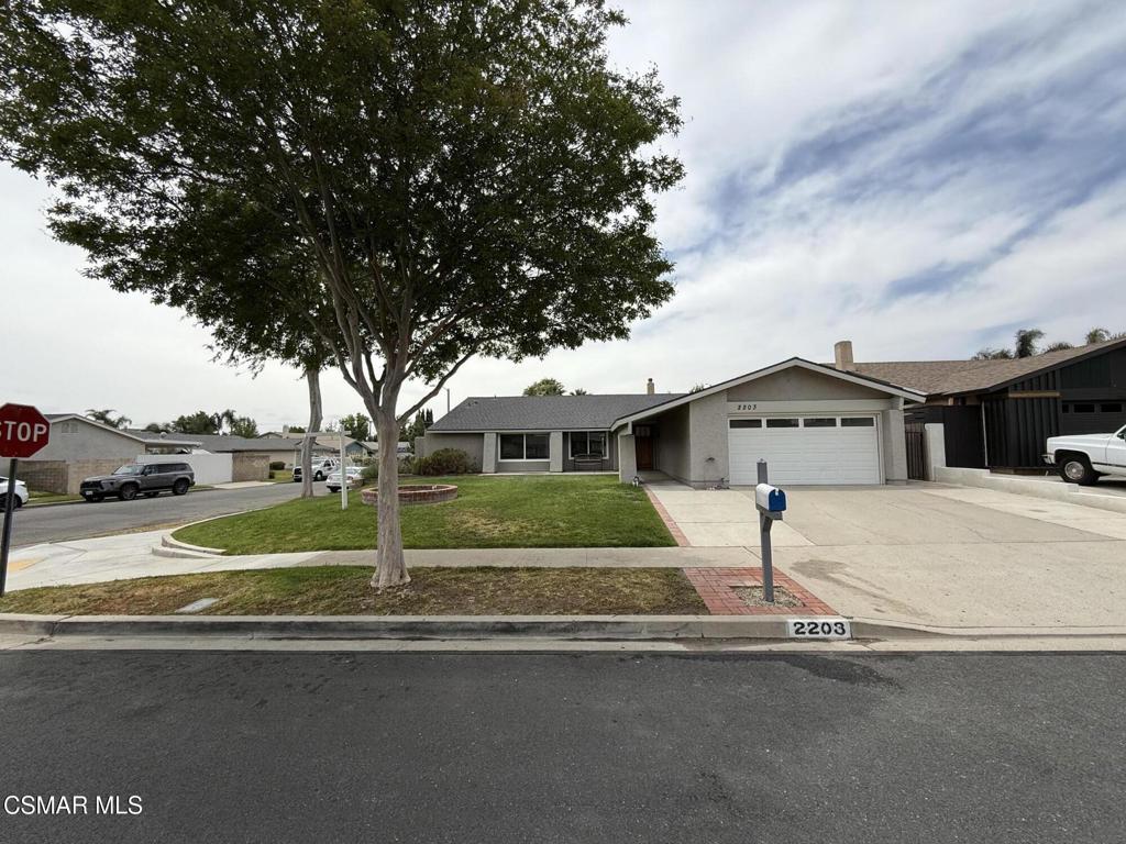 2203 Marter Court