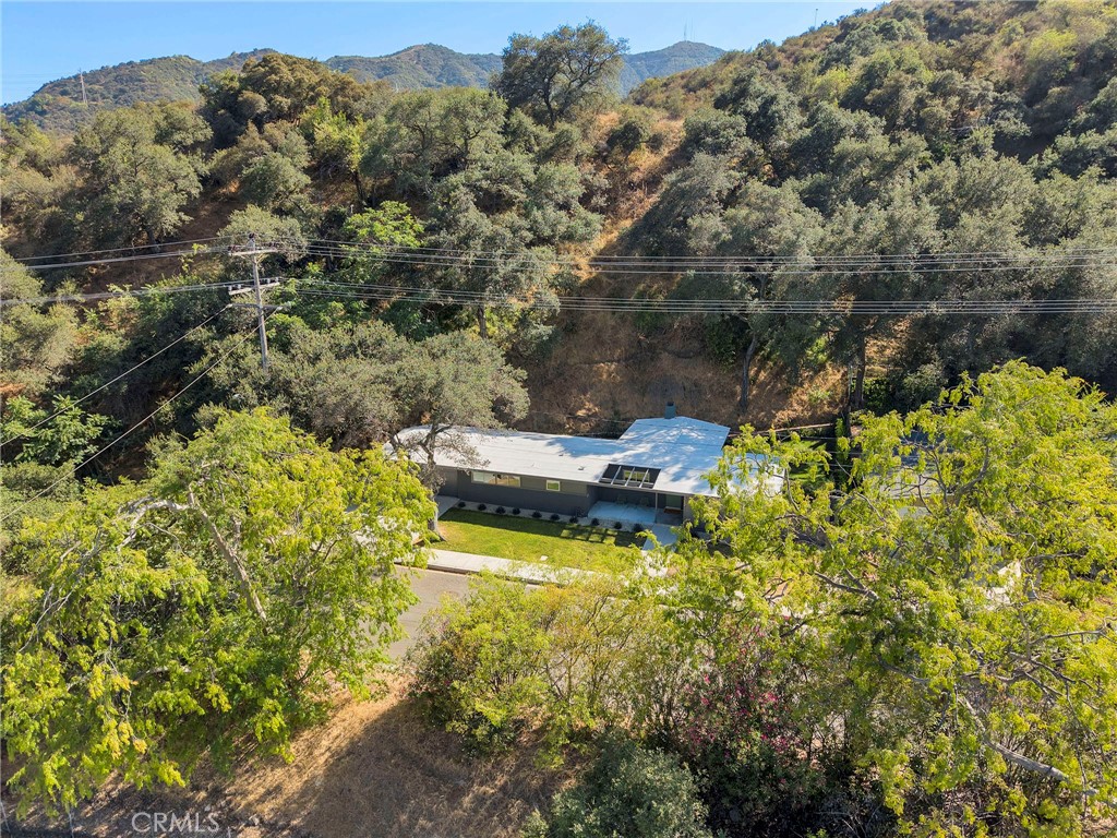 3505 El Lado
