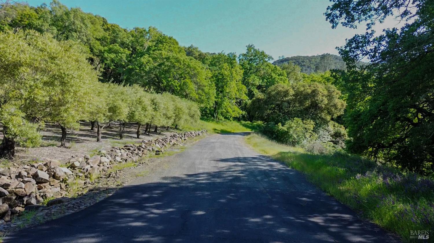 40 Long Ranch Road
