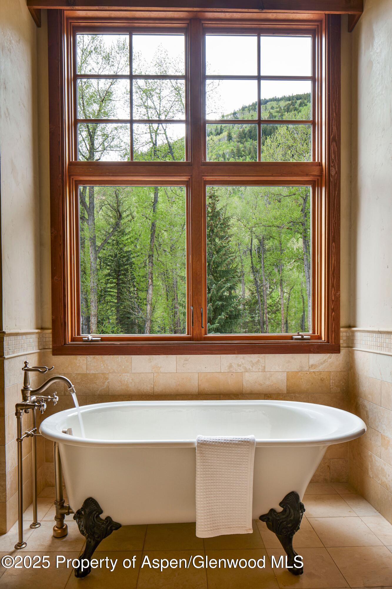 143 N Conundrum Creek Road