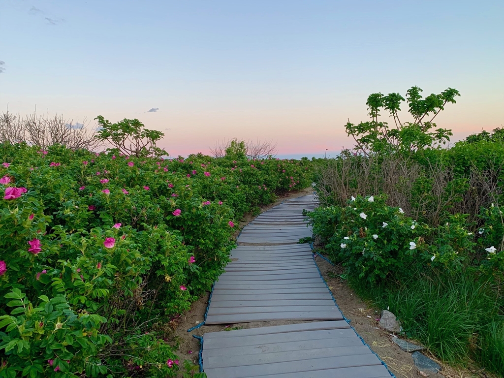 20 Atlantic Crossing