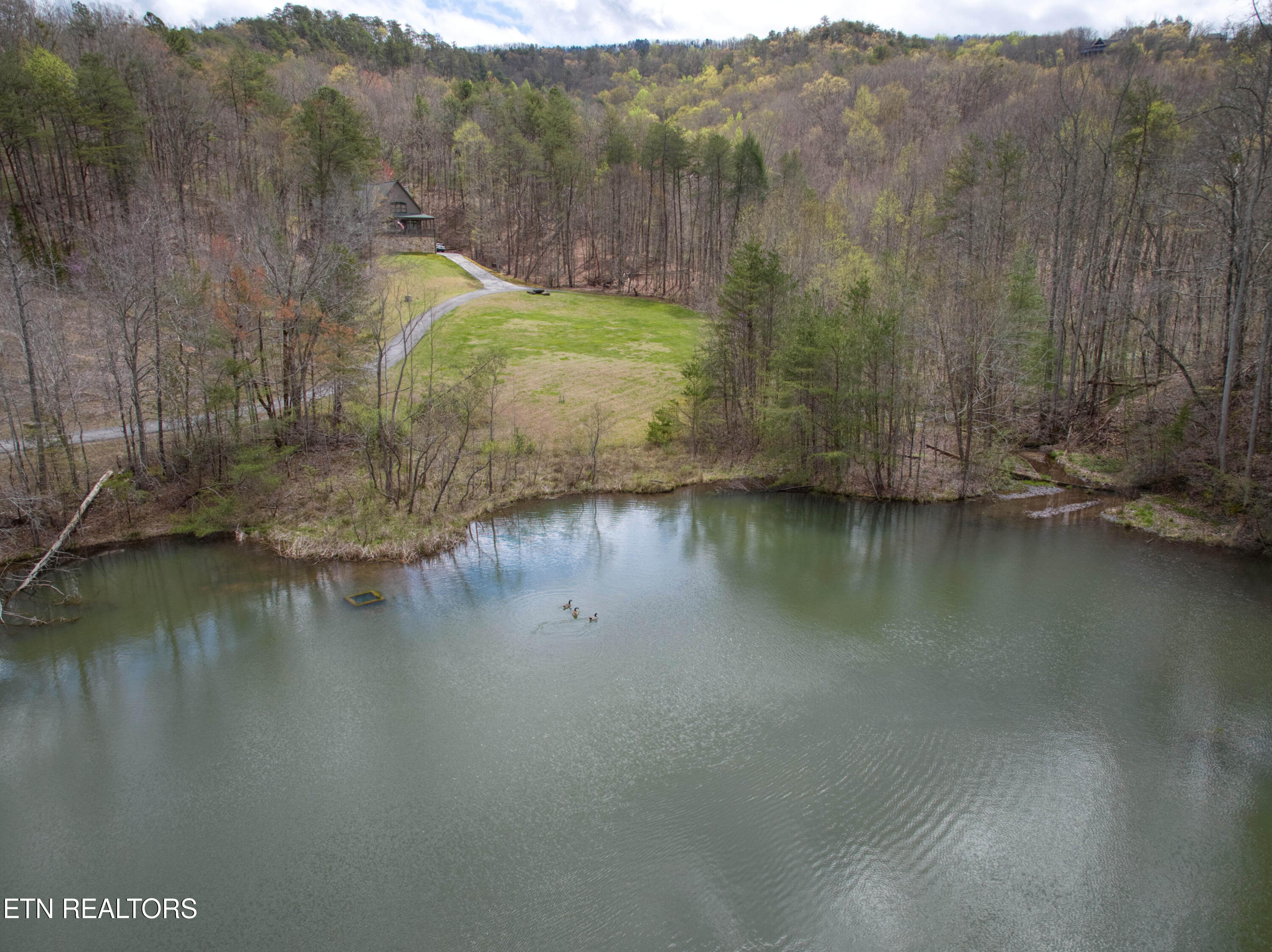 610 Solomon Seal Way