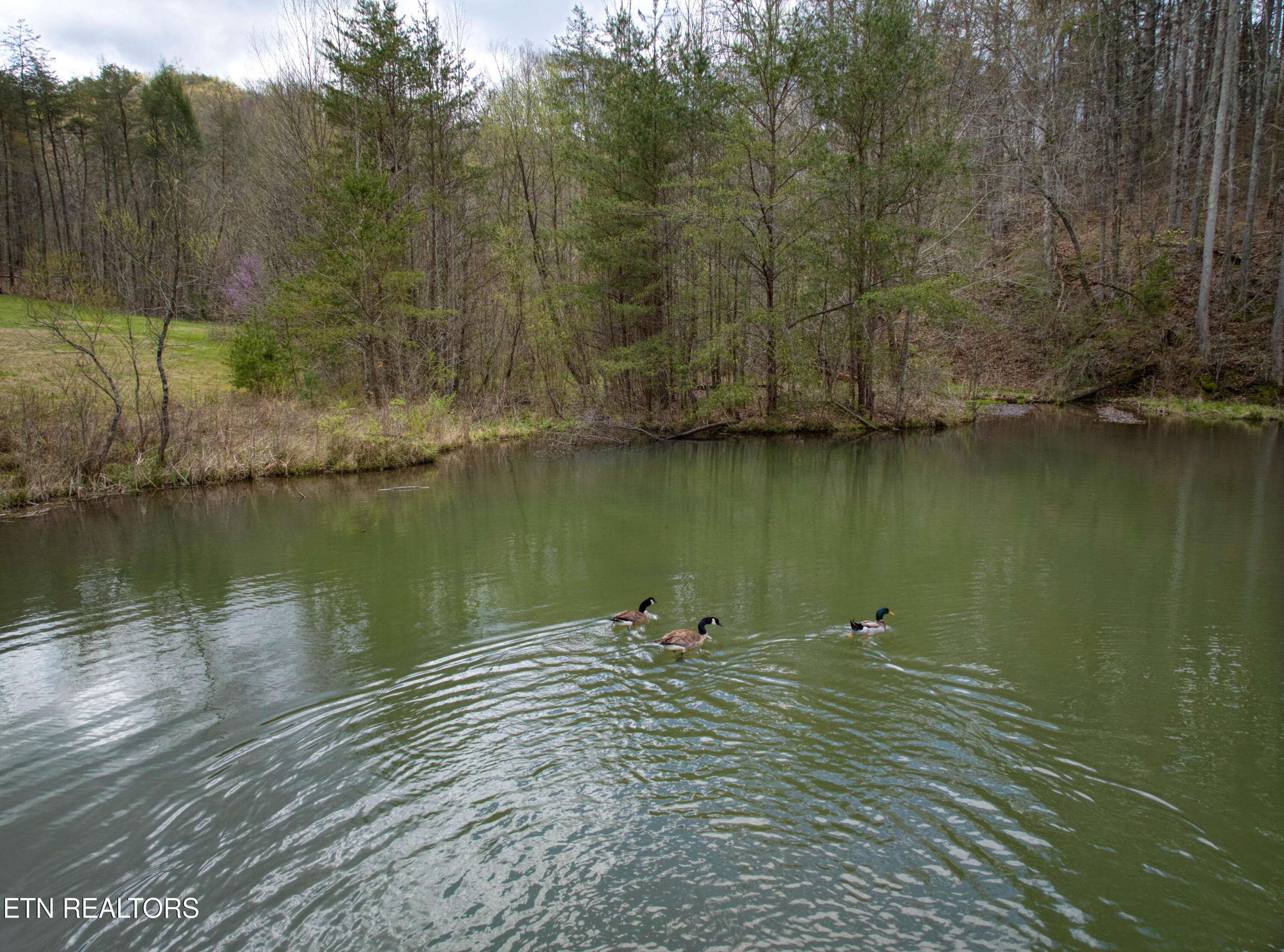 610 Solomon Seal Way