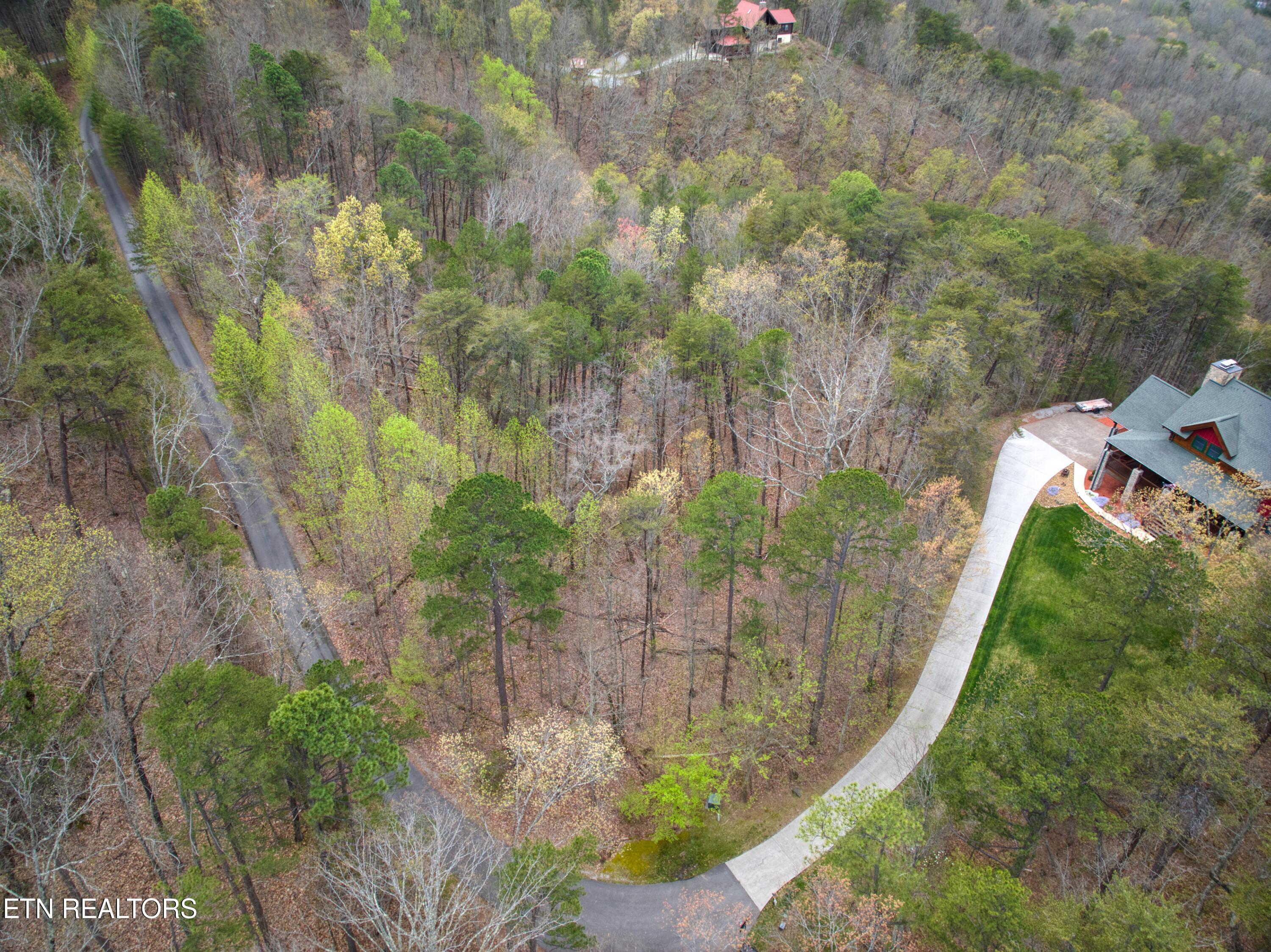 610 Solomon Seal Way