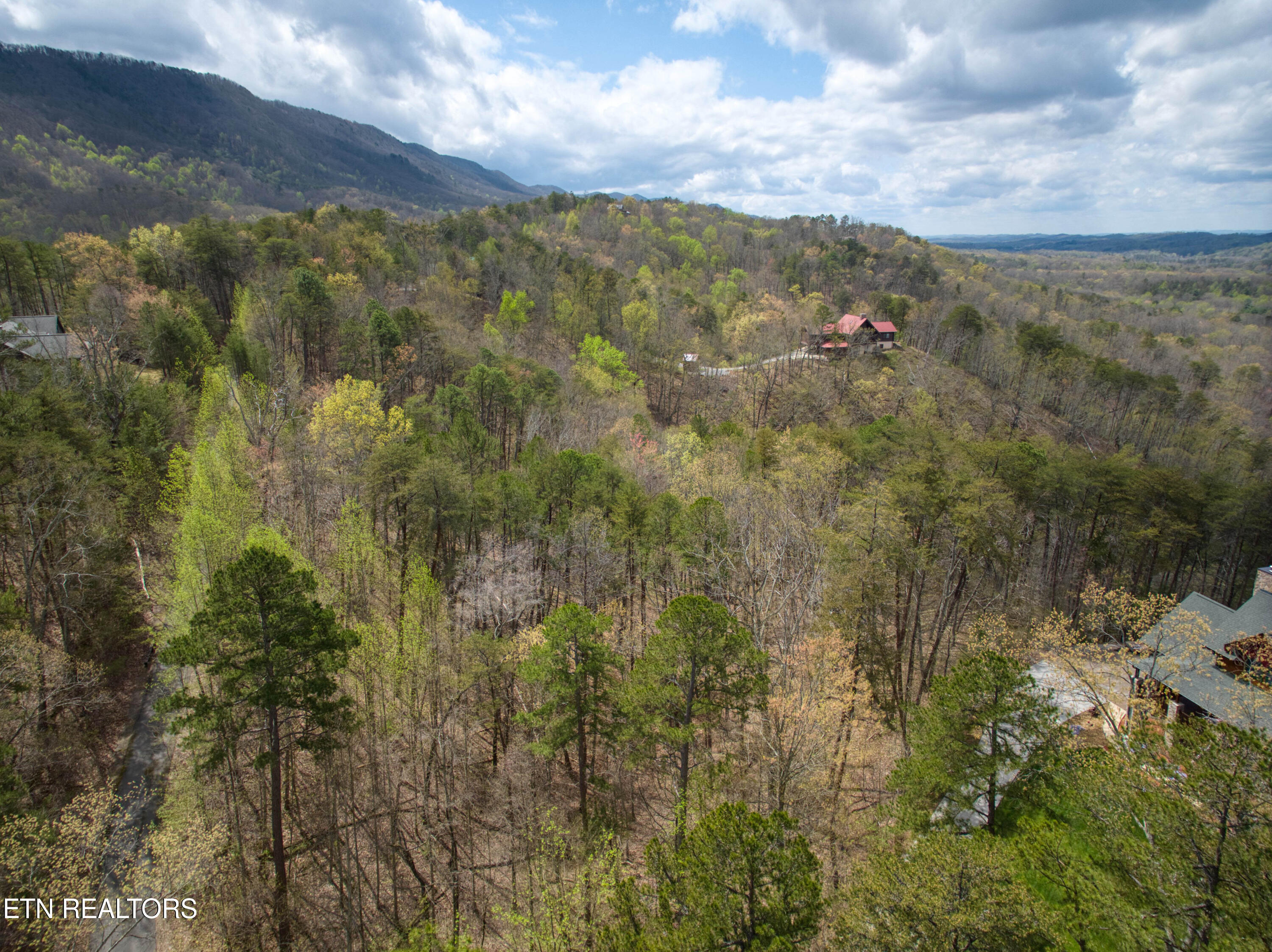 610 Solomon Seal Way