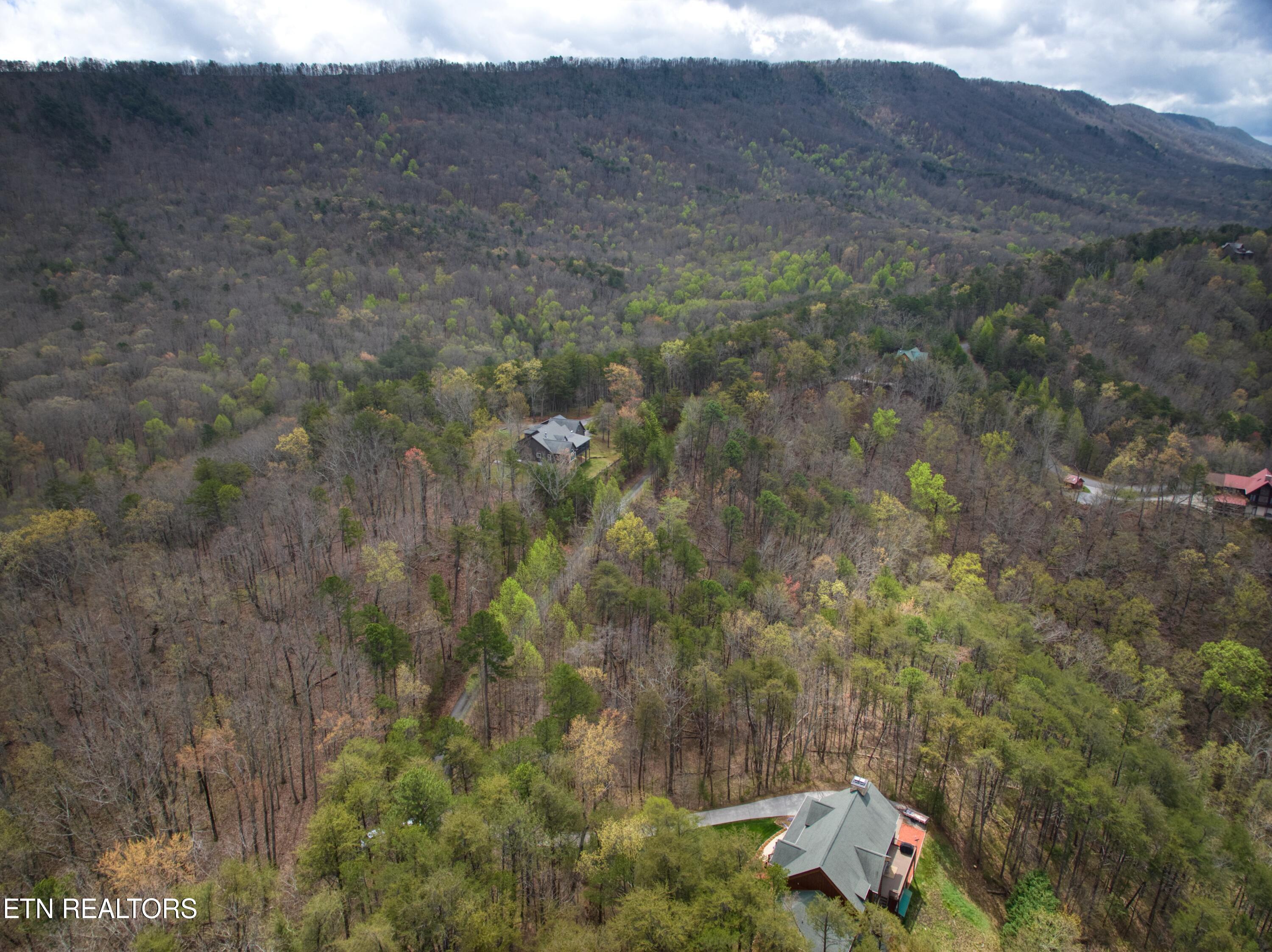 610 Solomon Seal Way