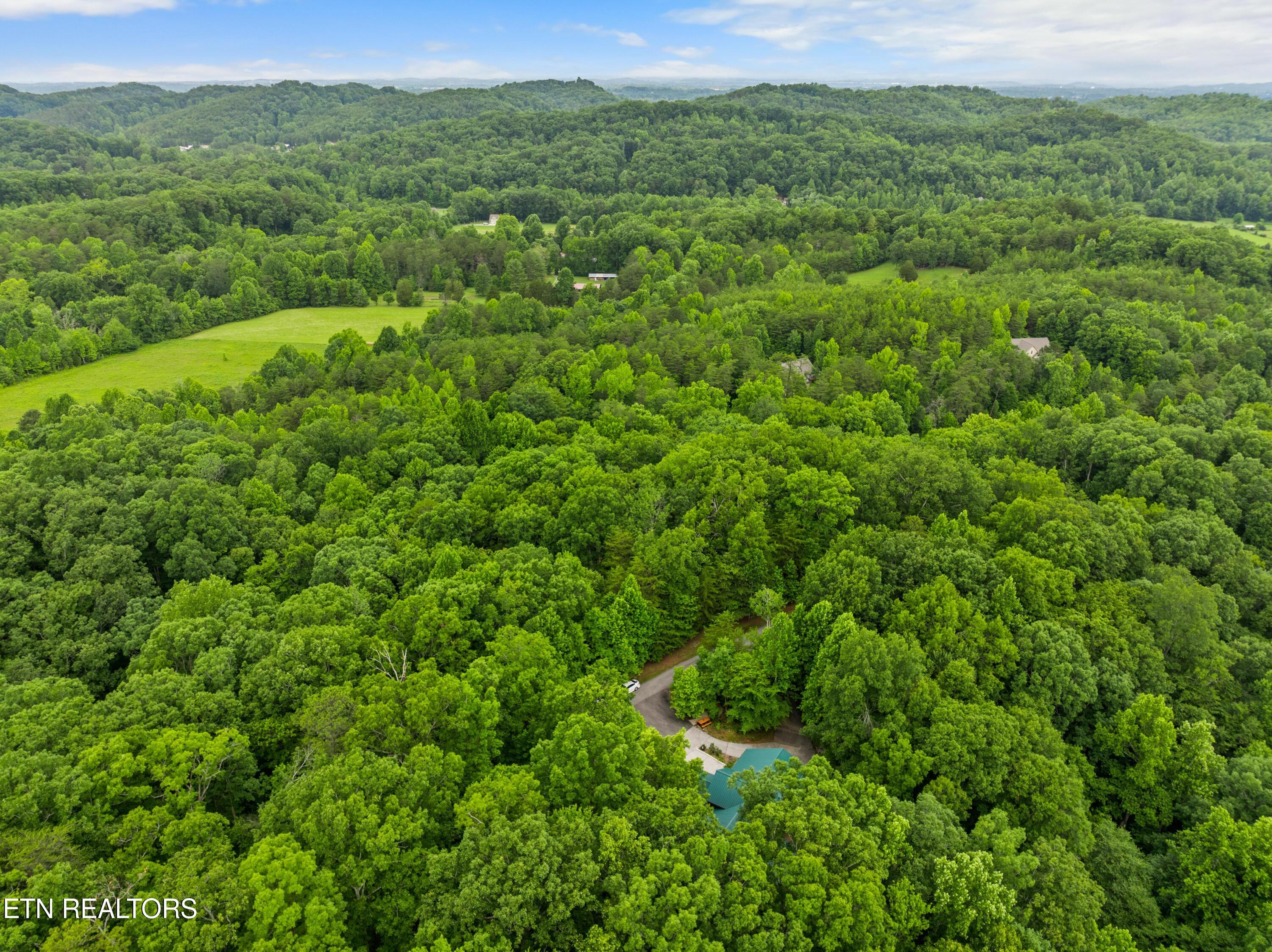 750 Blue Beech Drive