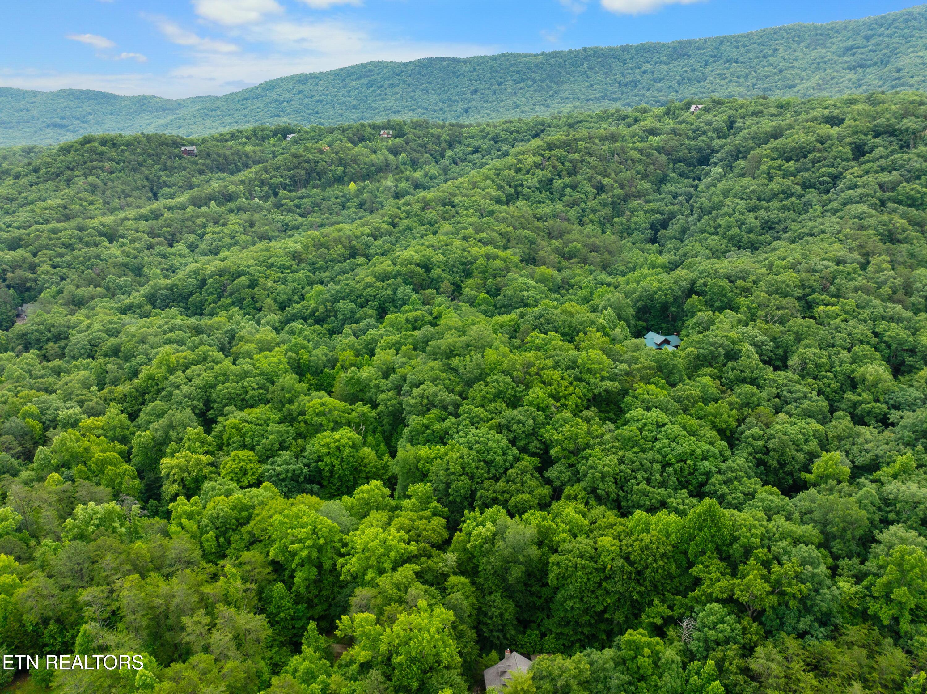 750 Blue Beech Drive
