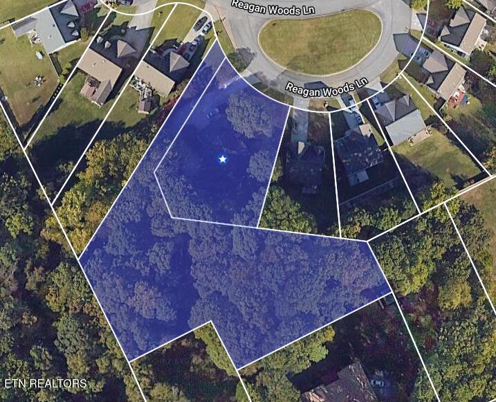 8536 Reagan Woods Lane