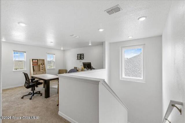 1116 Potenza Drive