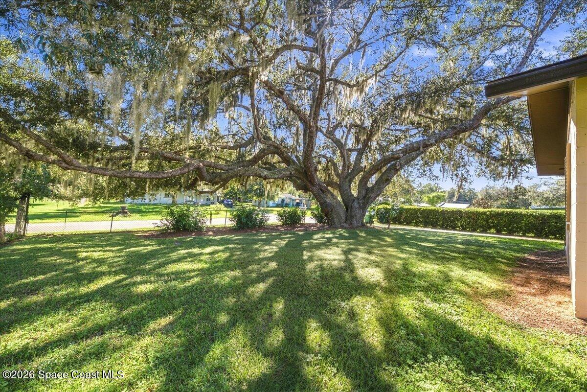 4110 Pecan Street