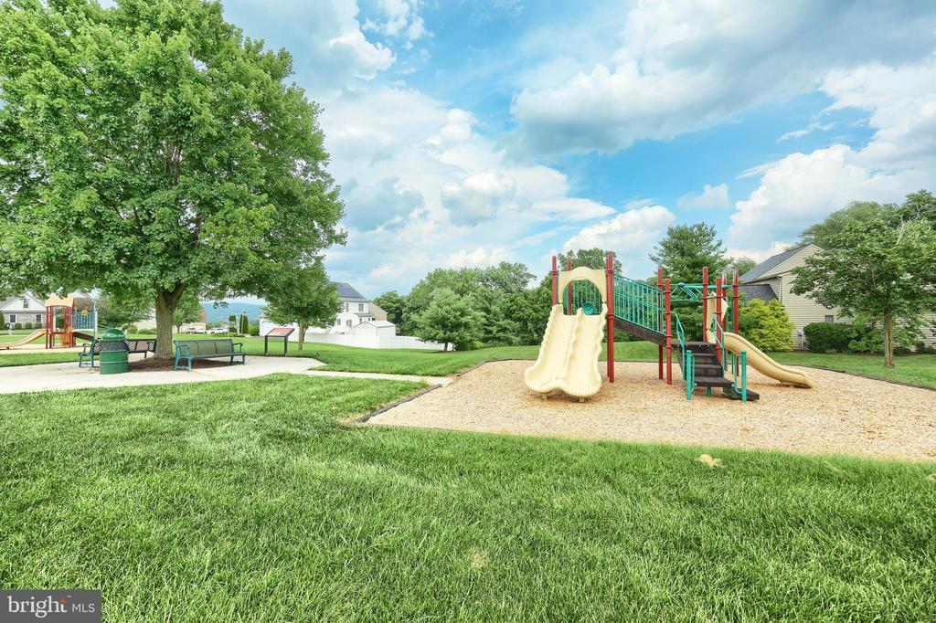 4220 PEACH ORCHARD HOLLOW