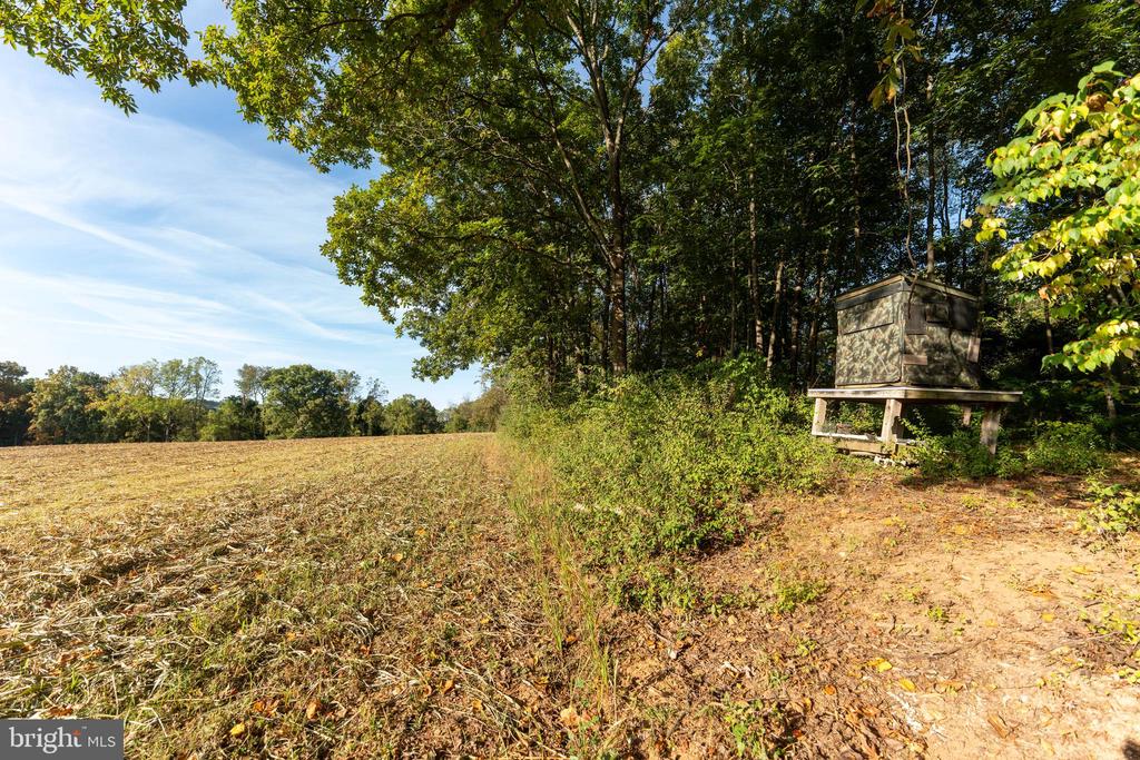 3446 BRENNEMAN ROAD