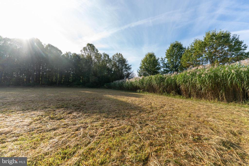 3446 BRENNEMAN ROAD