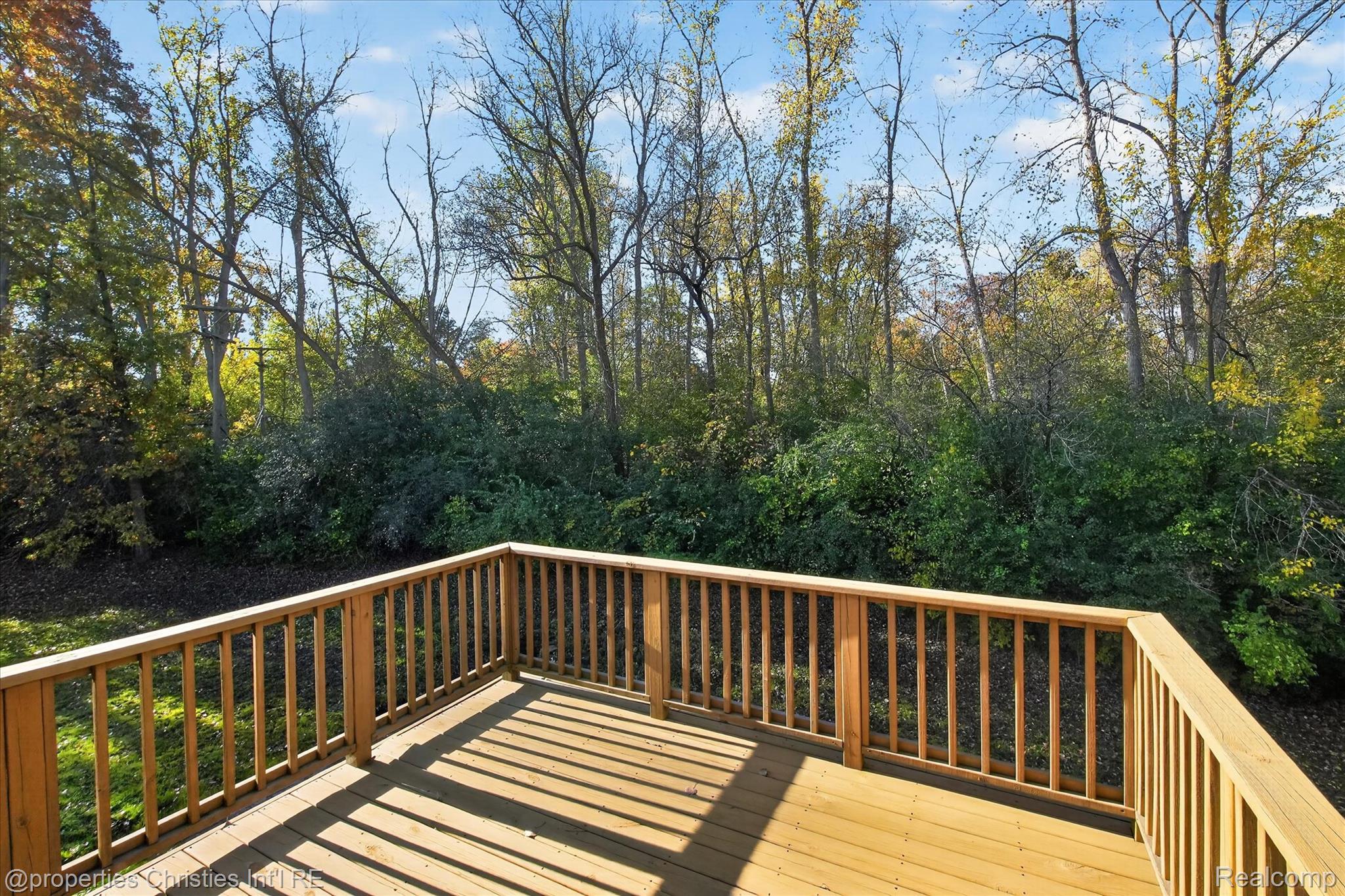 29461 Cove Creek LN