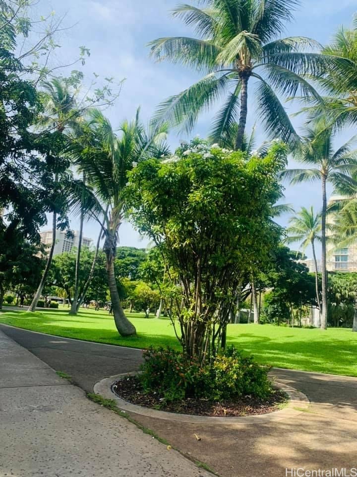 2092 Kuhio Avenue 804