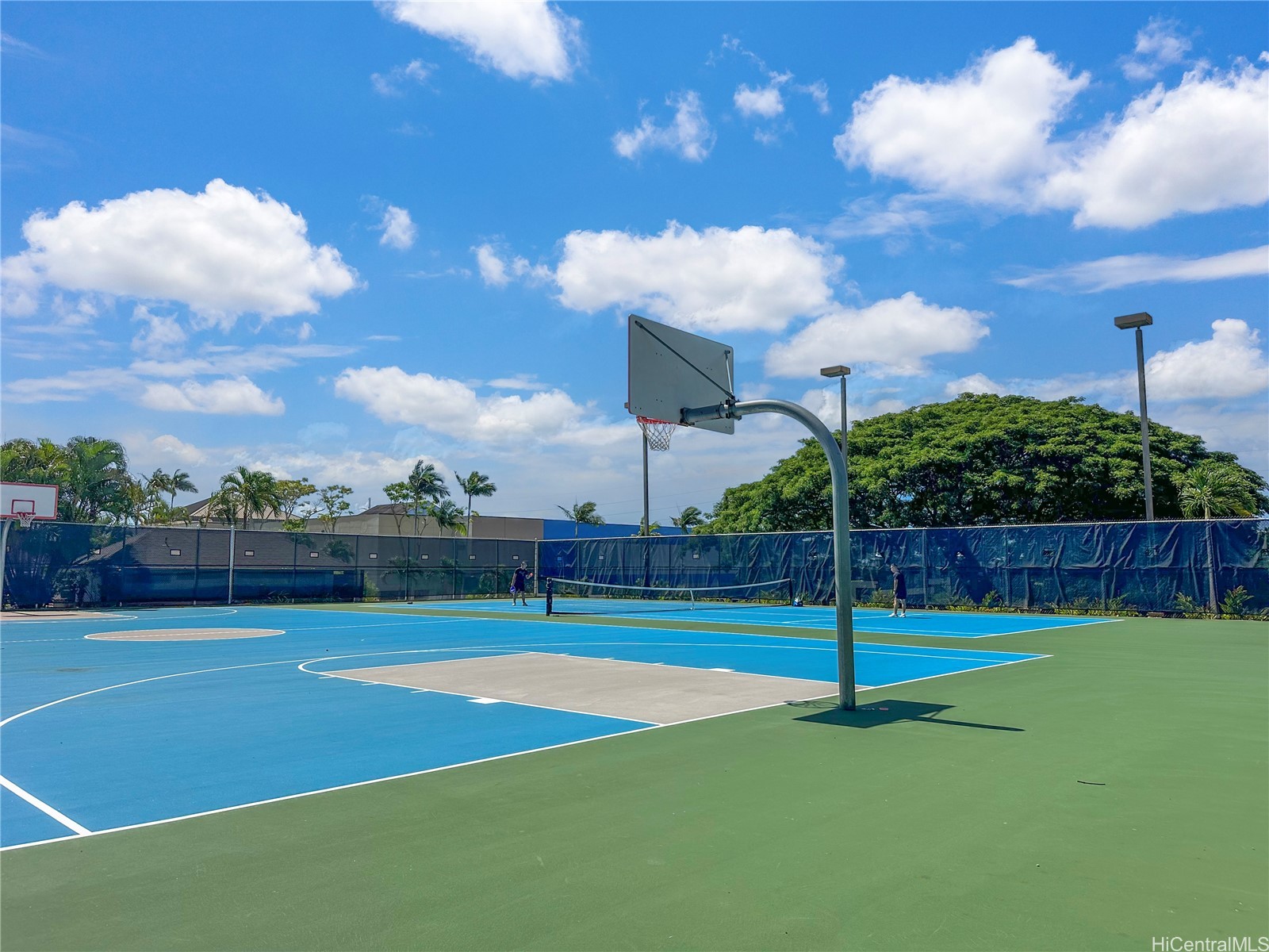 1060 Kamehameha Highway 806B